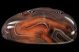 Polished, Banded Carnelian Agate - Madagascar #145943-1